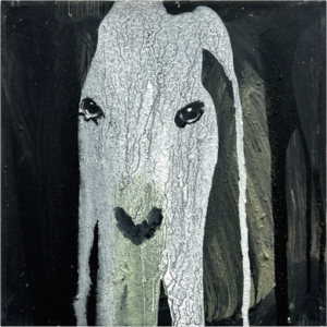 כבשה מסתורית